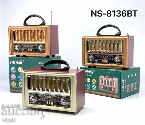 اسپیکر ان ان اس مدل NS-8136BT