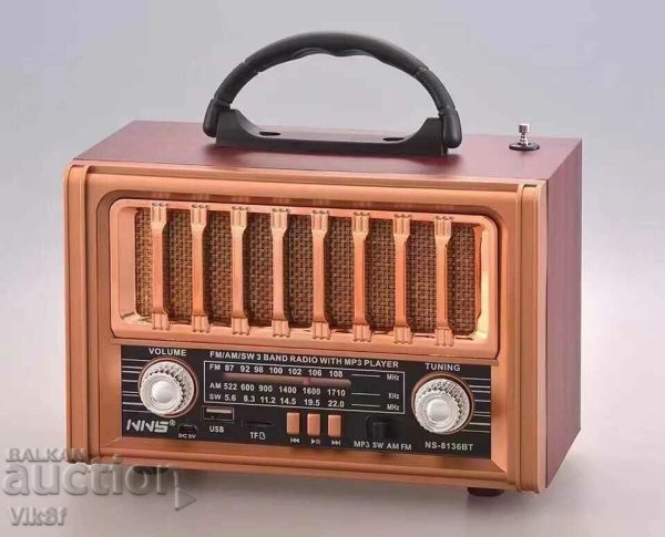 اسپیکر ان ان اس مدل NS-8136BT