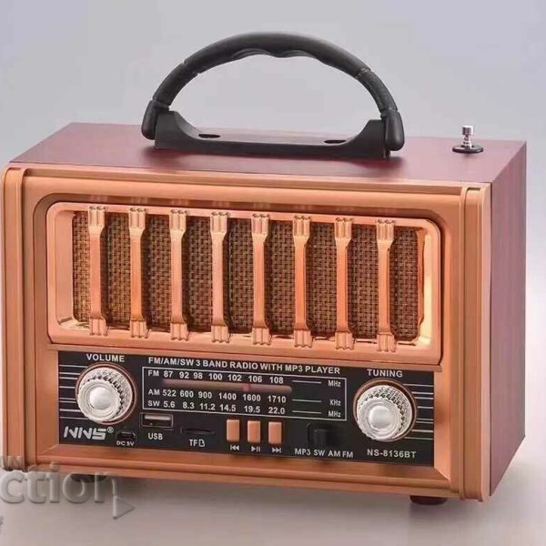 اسپیکر ان ان اس مدل NS-8136BT